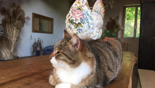 Agriturismo Fattoria Togonegro - Foto 4