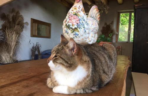 Agriturismo Fattoria Togonegro - Foto 4