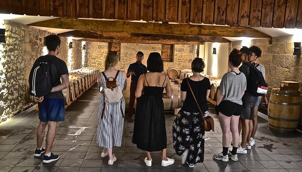 "Explore Saint-Émilion em e-bikes: Pequeno grupo, passeio de meio dia" - Foto 2