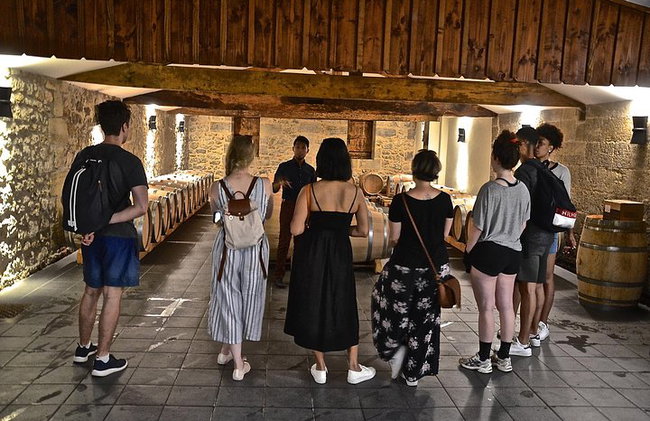 "Explora Saint-Émilion en bicicletas eléctricas: Grupo pequeño, excursión de medio día" - Foto 2