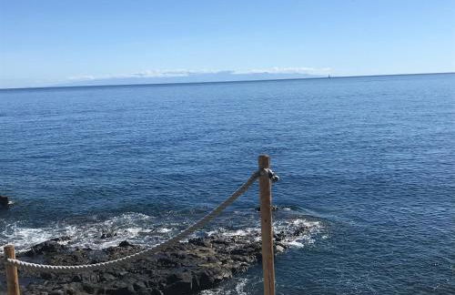 Studio 1 Hab - Foto 16