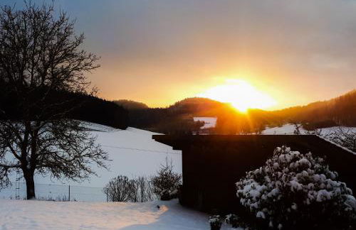 Ferienwohnung Eichkatzel - Foto 61