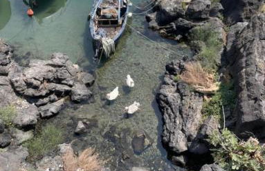 iDream Apartment & Rooms - Foto 37