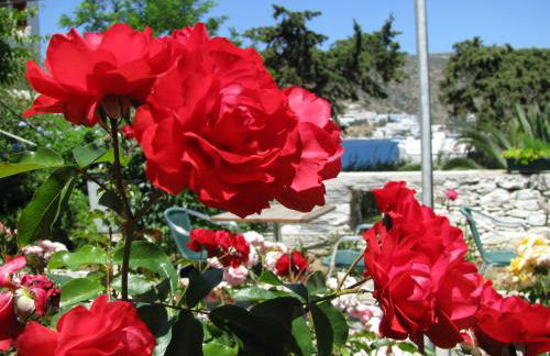 Anna Studios - Foto 54