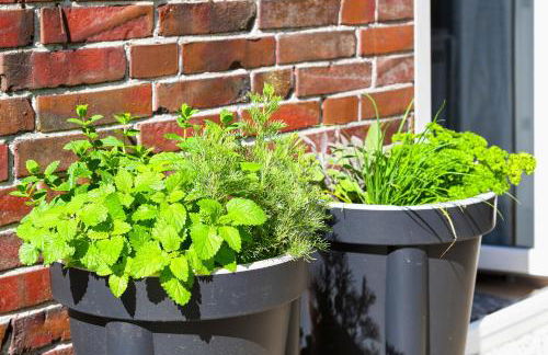 Ferienhaus Moorgeist - Photo 68