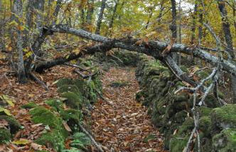 Casa Rural Margarita II - Foto 10