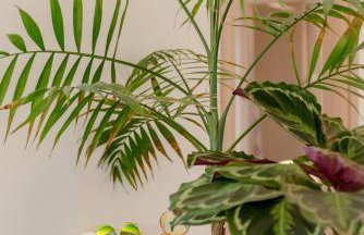 Rustic Villa Florice with a pool - Photo 62