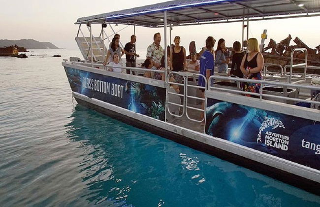 Crociera di un giorno alla scoperta della fauna marina di Tangalooma Island - Foto 2