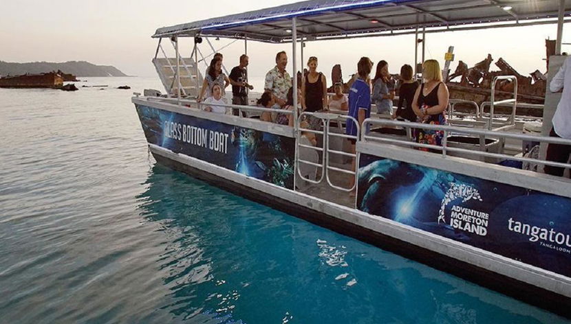 Crociera di un giorno alla scoperta della fauna marina di Tangalooma Island - Foto 2