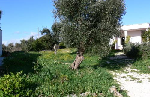 Trulli Eutopia - Foto 32