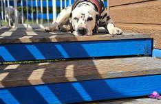 Glen Bay - 2 Bed Lodge on Friendly Farm Stay with Private Hot Tub - Foto 78