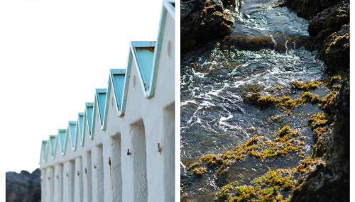 Il Nido di Montiano, giardino, natura e relax - Foto 4