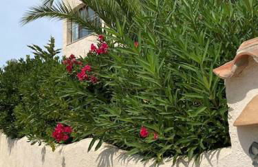 Casa Othello - Villa with private pool - Foto 25