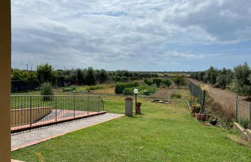 Agriturismo Il Giardino Degli Olivi Appartamenti - Foto 36