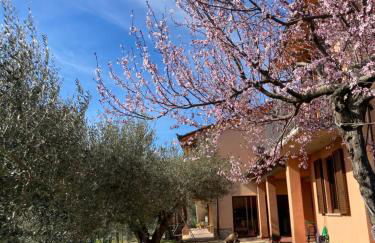 Le Coccole Del Trasimeno - Foto 10