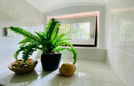 Ferienwohnung Villa am Haussee - Foto 31