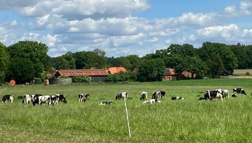 Gemütliche Ferienwohnung im Keller - Foto 5