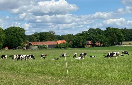 Gemütliche Ferienwohnung im Keller - Foto 5