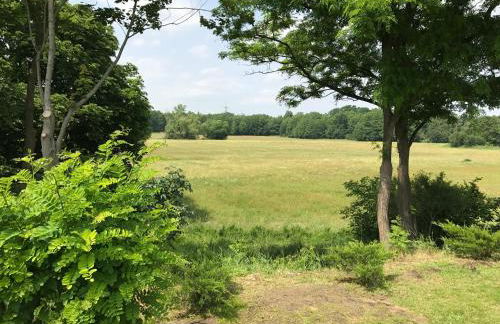 An den Havelwiesen - Foto 8