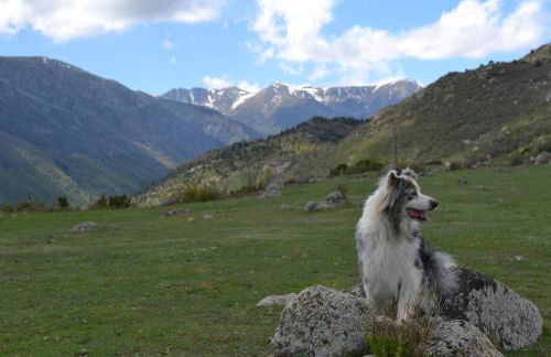 Ferme Can Llull - Foto 6
