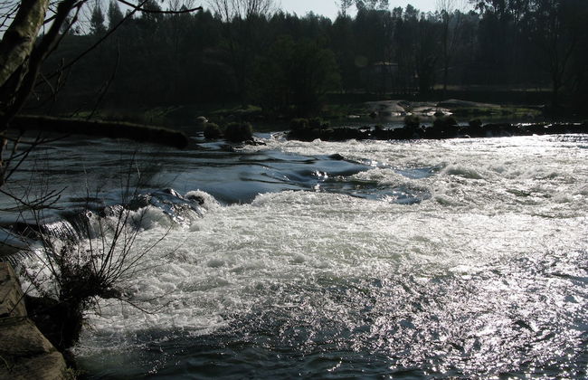 Solar das Bouças - Foto 21