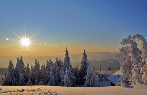 Le Chalet du Tanet spa sauna terrasse en Alsace - Foto 66