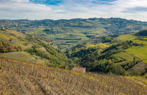 Cadgal - Tenuta Valdivilla - Photo 6