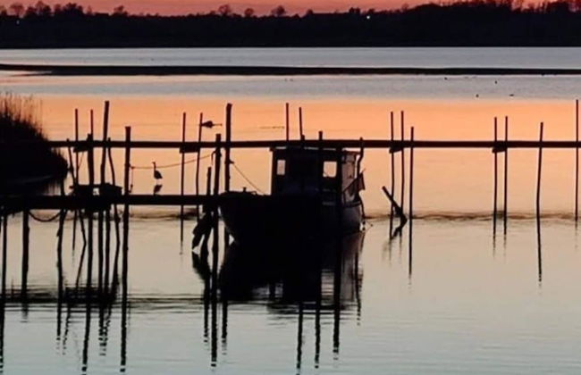 6 Person Holiday Home on a Holiday Park in Hejls - Foto 21