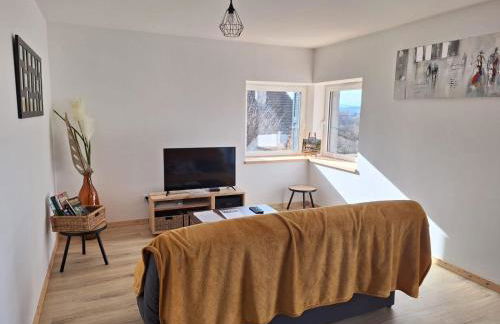 Gite authentique au coeur de Blavozy avec piscine privée, jacuzzi et terrain de pétanque - Foto 16