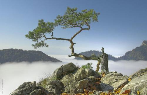 Caloroczne Domki w Gorach"ALEKSANDER" - Foto 40