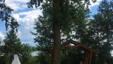 Dom Wakacyjny Bogaczewo - Foto 5