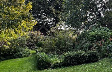 The Beech Hut, Wood Fired Hot Tub, St Kew Escapes - Foto 21