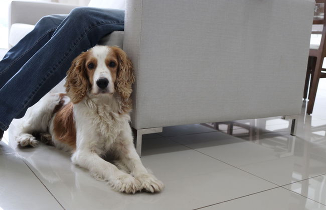 Start Villa Morra Rent Apartments - Photo 77