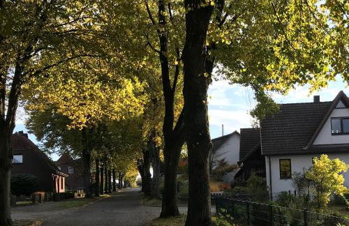 Ferienwohnung Am Holzfeld - Photo 30