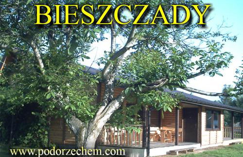 Pod Orzechem - Foto 29