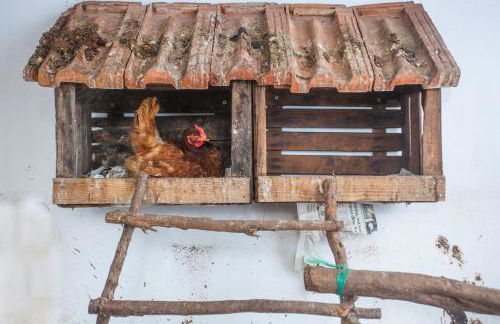 Preciosa Casa Ca Madò Maria con vistas a Bunyola - Foto 34