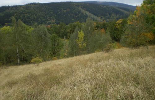 Halinówka - Twoje Miejsce w Górach Sowich - Foto 36