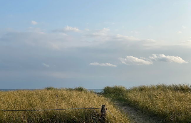 Brand New Walk Out Bsmt Apt Near Beach - Foto 21