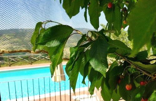 Poggio Al Vento - Foto 18