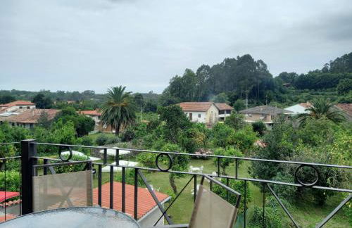 los laureles de novales - Foto 14