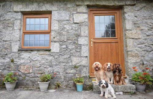 3 Bed in Falmouth oc-conwi - Photo 10