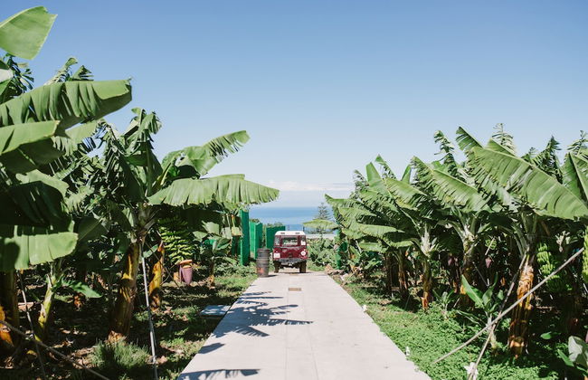 Casa Rural El Patio de Tita - Foto 22