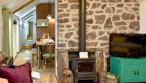 Ty Cam - Of5 - Foto 2