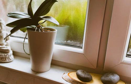 Modernes Appartement im Grünen - Stilvoll und komfortabel - Photo 10