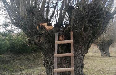 Wyciszek - mazurska agroturystyka - Foto 44