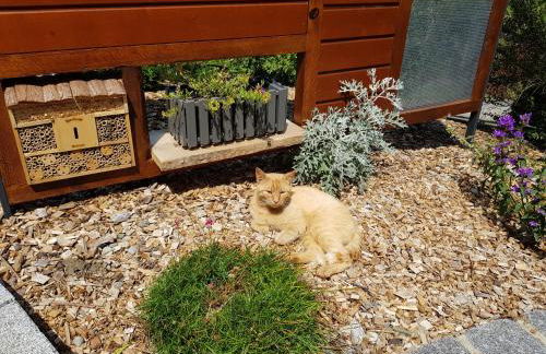 Landhaus Dreibirken - Foto 22