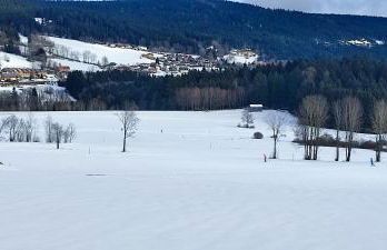 Two bedroom Apartment in Sankt Englmar, Bavaria - Foto 29