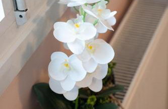 Katherine Home - Foto 34