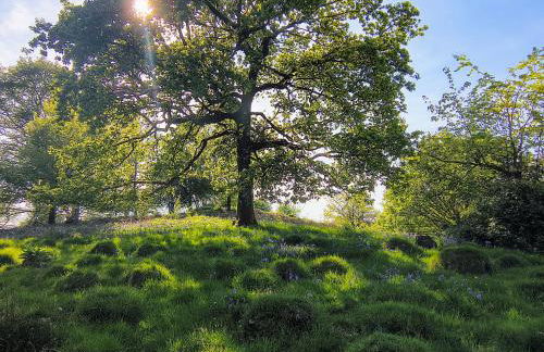 Tranquil getaway near Brecon Beacons - Photo 2
