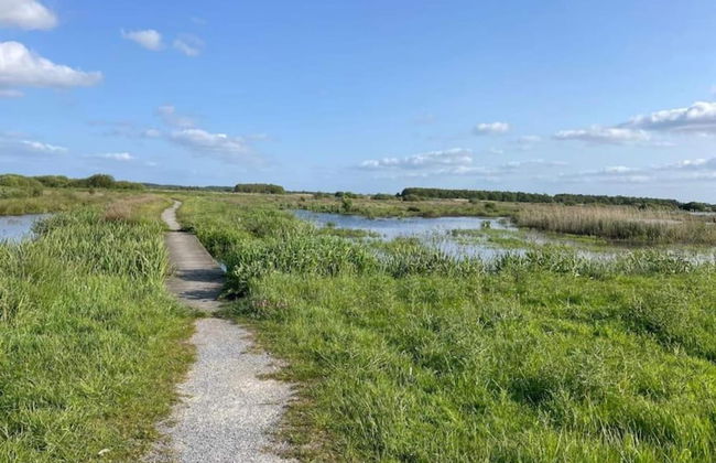 Bungalow in Sondel Near Slotermeer Lake - Foto 36
